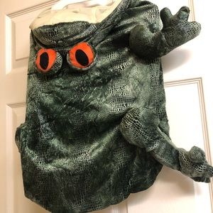 Dog Frog costume. Worn just for photo. Super cute! X-Large, very clean!